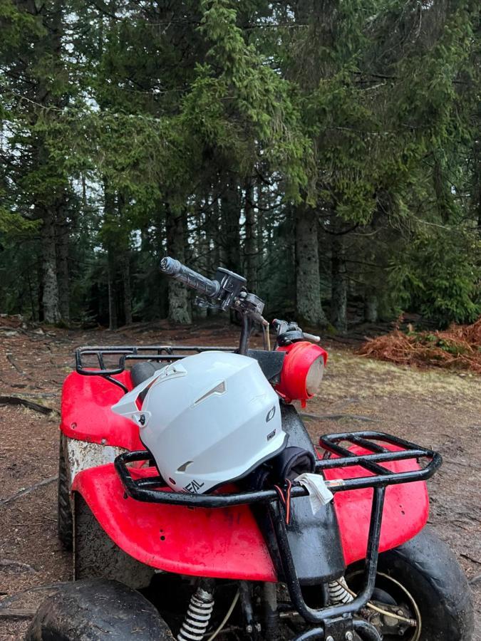 Appartamento Ma Montagne Chic 3 *